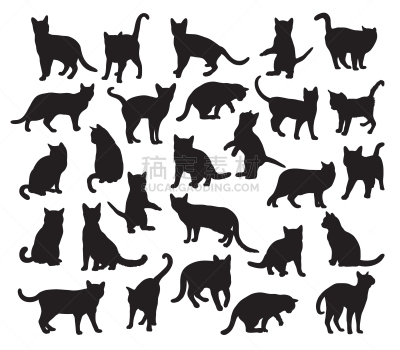 猫,宠物,秘密行动,图像,哺乳纲,动物,设计元素,矢量,坐,剪影