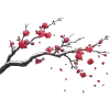冬至饺子