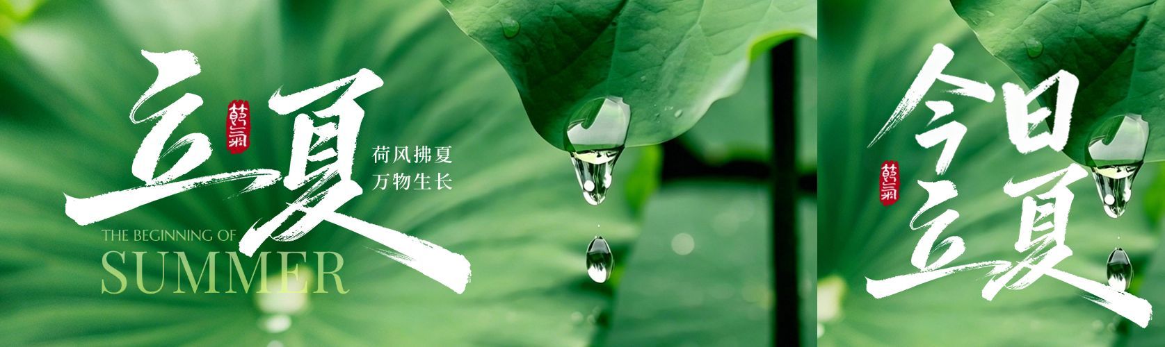 立夏节气祝福通用实景感公众号双封面预览效果