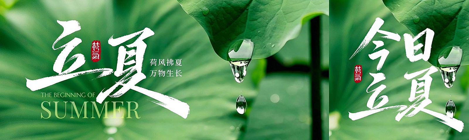立夏节气祝福通用实景感公众号双封面