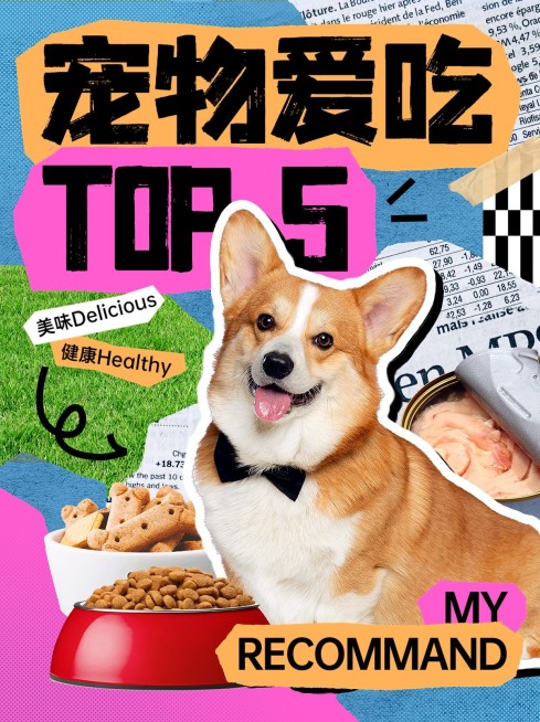 宠物产品好物推荐小红书配图预览效果