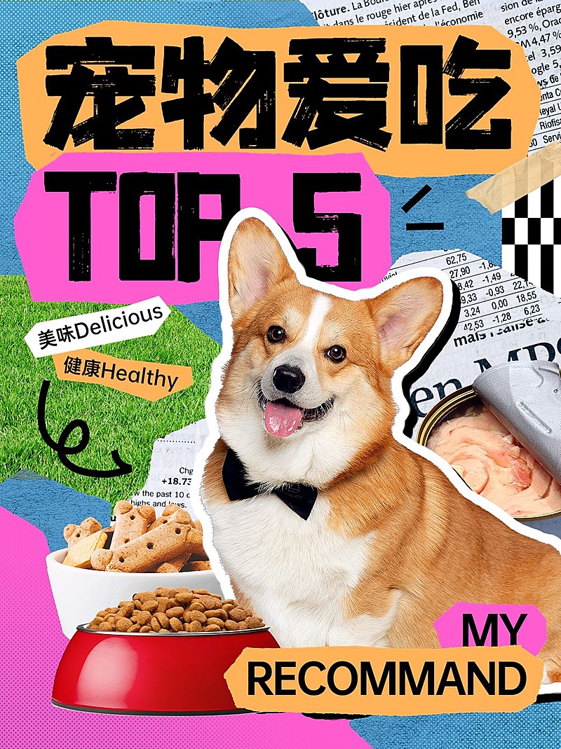 宠物产品好物推荐小红书配图