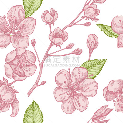 樱之花,蜡笔画,四方连续纹样,华丽的,传统,樱桃,春天,绘制,复古