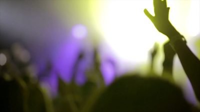 摇滚音乐会或DJ派对慢动作中人群聚会的镜头