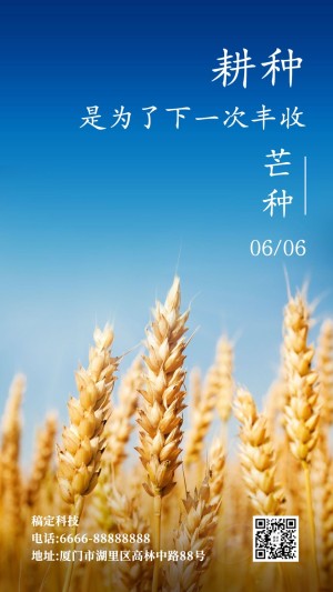 节气金句稻田清新实景框线手机海报