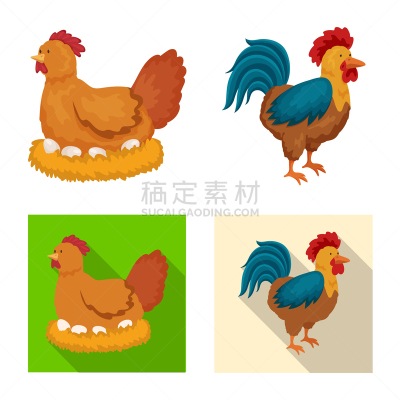 品牌名称,厨房,分离着色,可爱的,农业,有机食品,设计,布置,收集