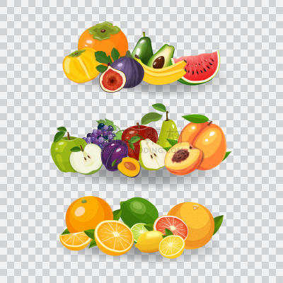 概念,绘画插图,矢量,健康食物,清新,水果,有机食品,浆果