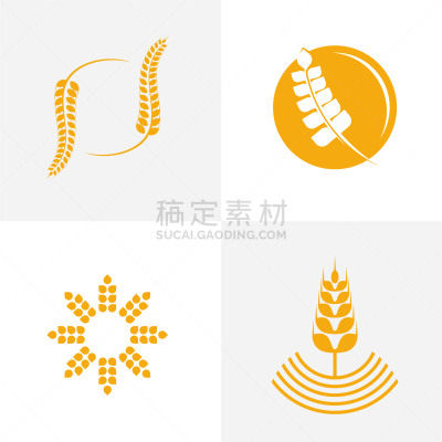 农业,模板,品牌名称,全麦,华贵,谷物,面包,食品,现代,布置