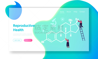巨大的,健康保健,矢量,雌激素,荷尔蒙,人,小的,绘画插图