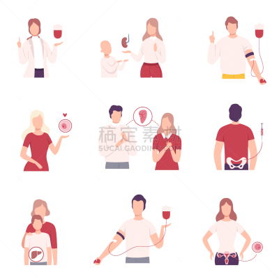 人体内脏器官,器官捐献,人体解剖学,健康保健,人,男人,女人,矢量,卵子,捐款箱