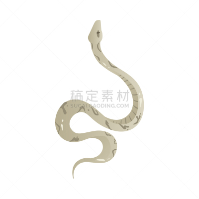 灰色,蛇,动物,动物皮,爬行纲,危险,绘画插图,式样,动物手,顶部