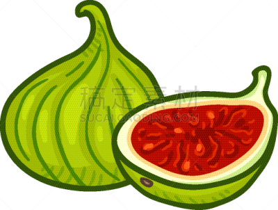 cartoon fresh green fig fruit