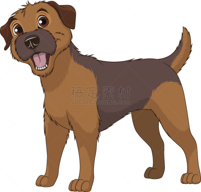 博德猎狐犬,幽默,可爱的,宠物,纯种犬,梗犬,敏捷,图像,狗,收集