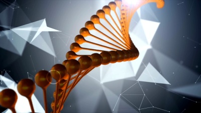 4K旋转DNA的化学背景