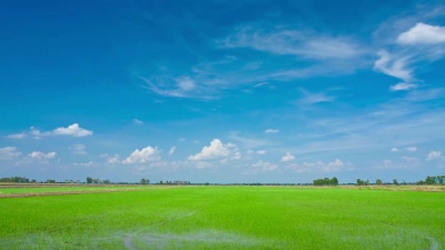 绿地