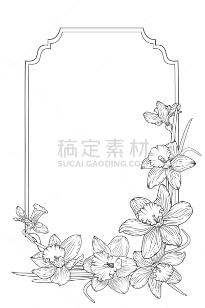 水仙花,国境线,春天,边框,玫瑰,请柬,事件,浪漫,婚礼,花