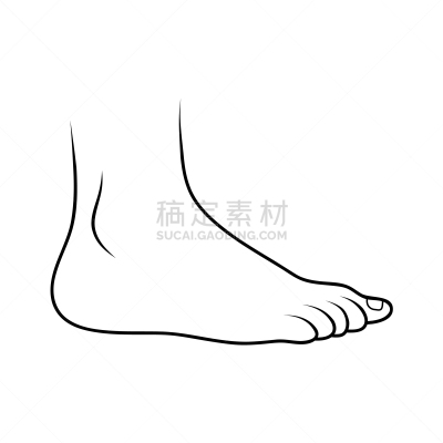 分离着色,轮廓,白色,足,计算机图标,袜子,健康保健,人,部分,设计