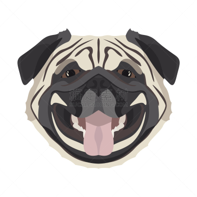 巴哥犬,宠物,图像,狗,猎犬,艺术,矢量,吠声,小狗,绘制