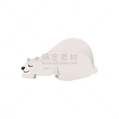 白色,矢量,可爱的,熊,绘画插图,平坦的,动画片,分离着色,南极洲,背景分离