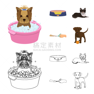 兽医,宠物,爪,轮廓,垃圾,图像,矢量,分离着色,收集,教育
