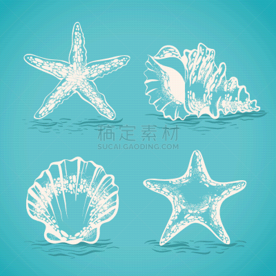 华丽的,贝壳,海星,草图,水下,夏天,轮廓,式样,收集,复古