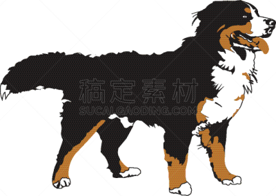 狗,一只动物,宠物,纯种犬,大麦町,非凡的,图像,公牛,柯利牧羊犬,杜宾犬