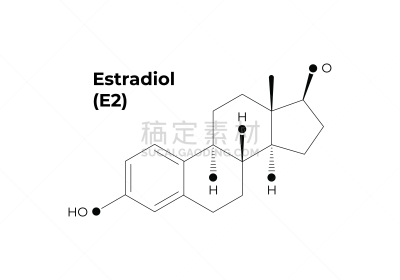 矢量,科学,极简构图,雌二醇,荷尔蒙,分离着色,白色背景,教育,设计
