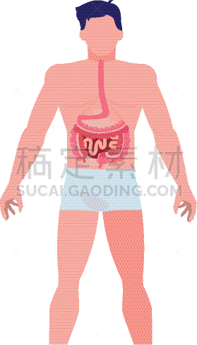 男人,人类消化系统,男孩,生物学,健康保健,人,溃疡,生病,联系