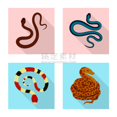 爬行纲,动物皮,品牌名称,越南,螺线,蛇,哺乳纲,设计,布置