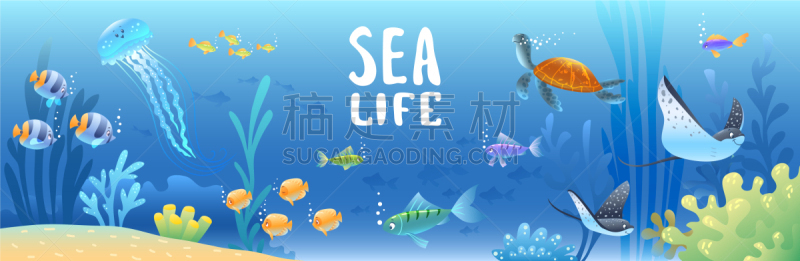 海洋生命,可爱的,华丽的,灵感,野生动物,壁纸,自然美,海龟,动物,绘制