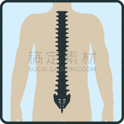 骨头,矢量,计算机图标,人,x光,白色,概念,绘画插图,人类骨架,脊柱