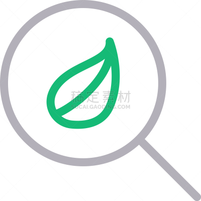 叶子,生物学,环境,好奇心,蜘蛛网,植物,透镜,搜寻,绘制,研究