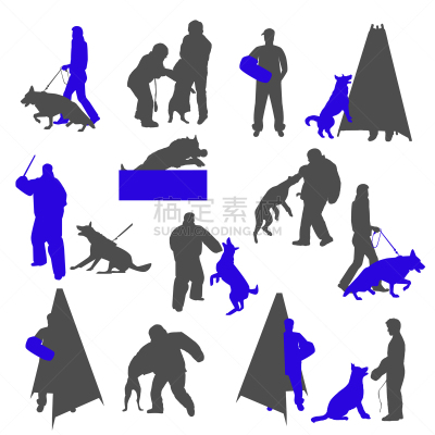 狗,分离着色,运动,热,纯种犬,敏捷,训练,服从,跨栏