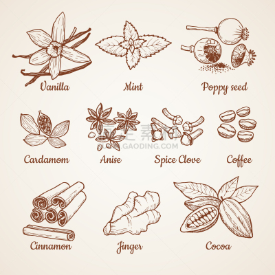 草本,肉桂,厨房,柠檬,巧克力,褐色,华丽的,精神振作,收集,复古