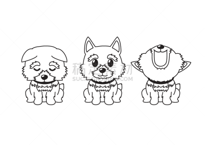 动画片,注视镜头,诺维奇犬,可爱的,纯种犬,梗犬,背景分离,泰国,简单,坐