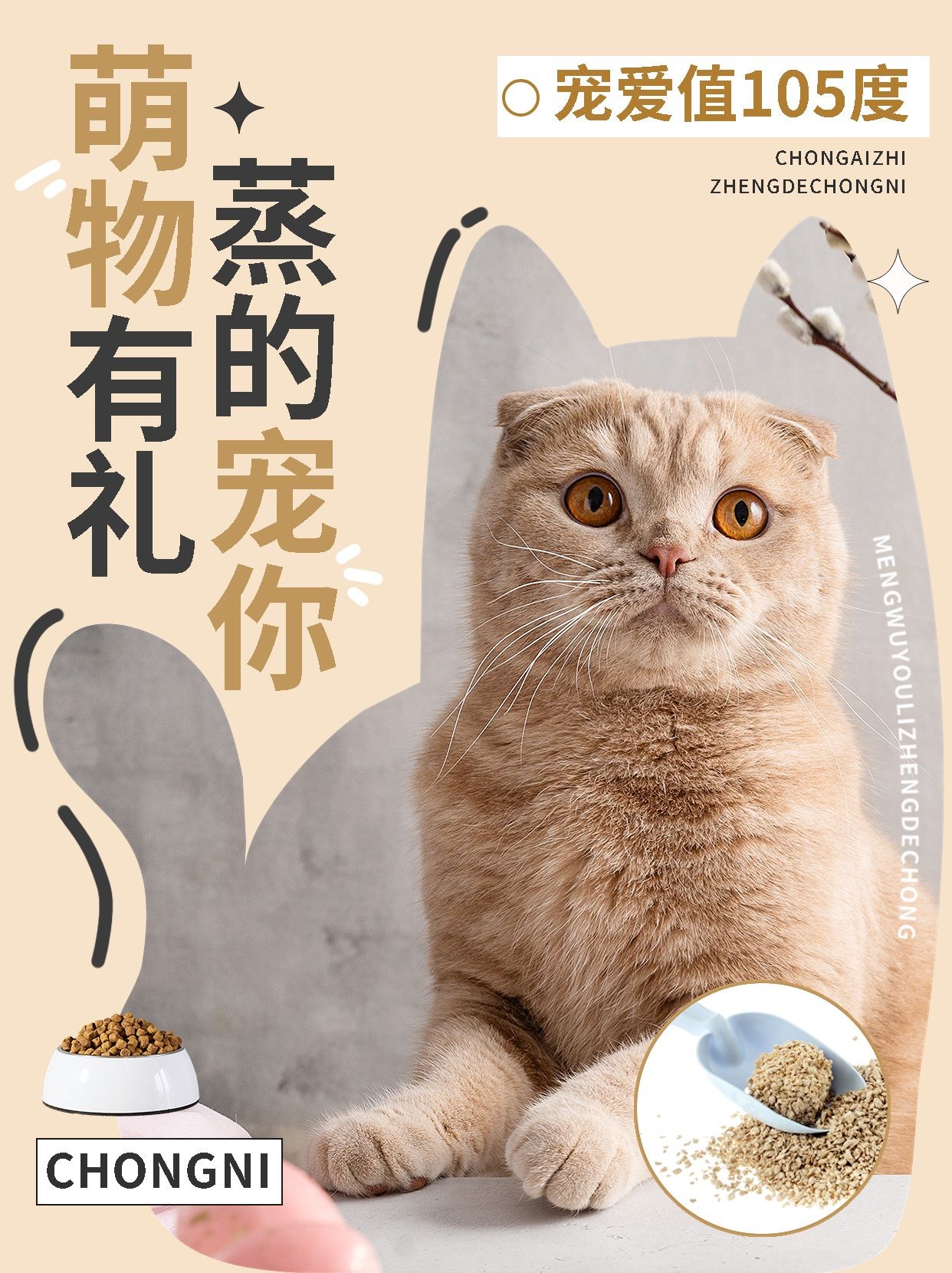 宠物产品宣传小红书封面