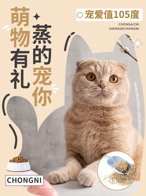 宠物产品宣传小红书封面预览效果