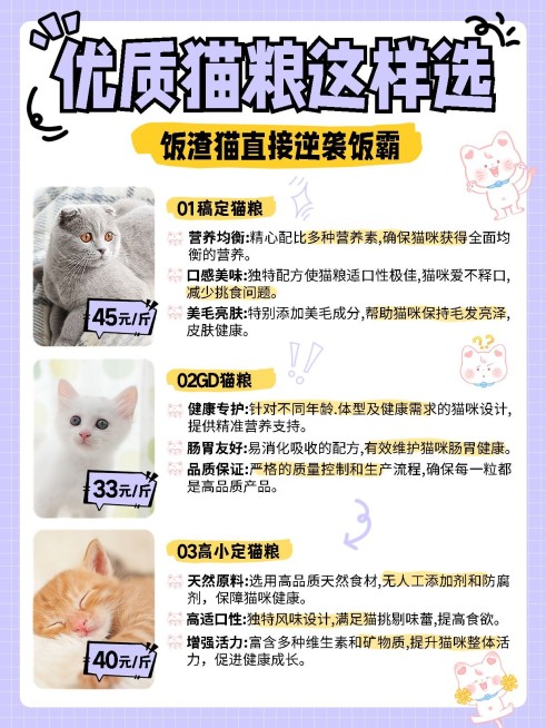 宠物新手知识科普攻略套装小红书配图预览效果