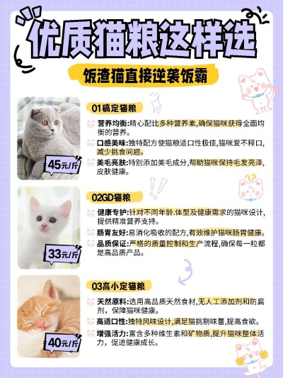 宠物新手知识科普攻略套装小红书配图