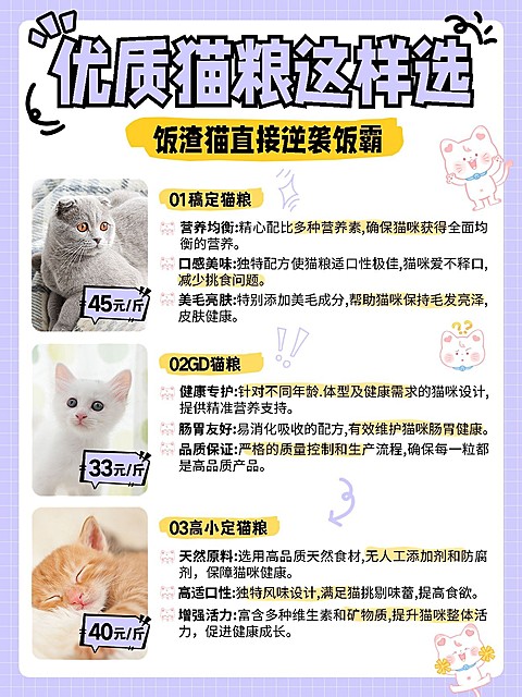 宠物新手知识科普攻略套装小红书配图