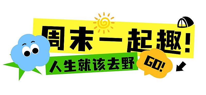 户外活动夏季活力旅游露营攻略公众号文章标题