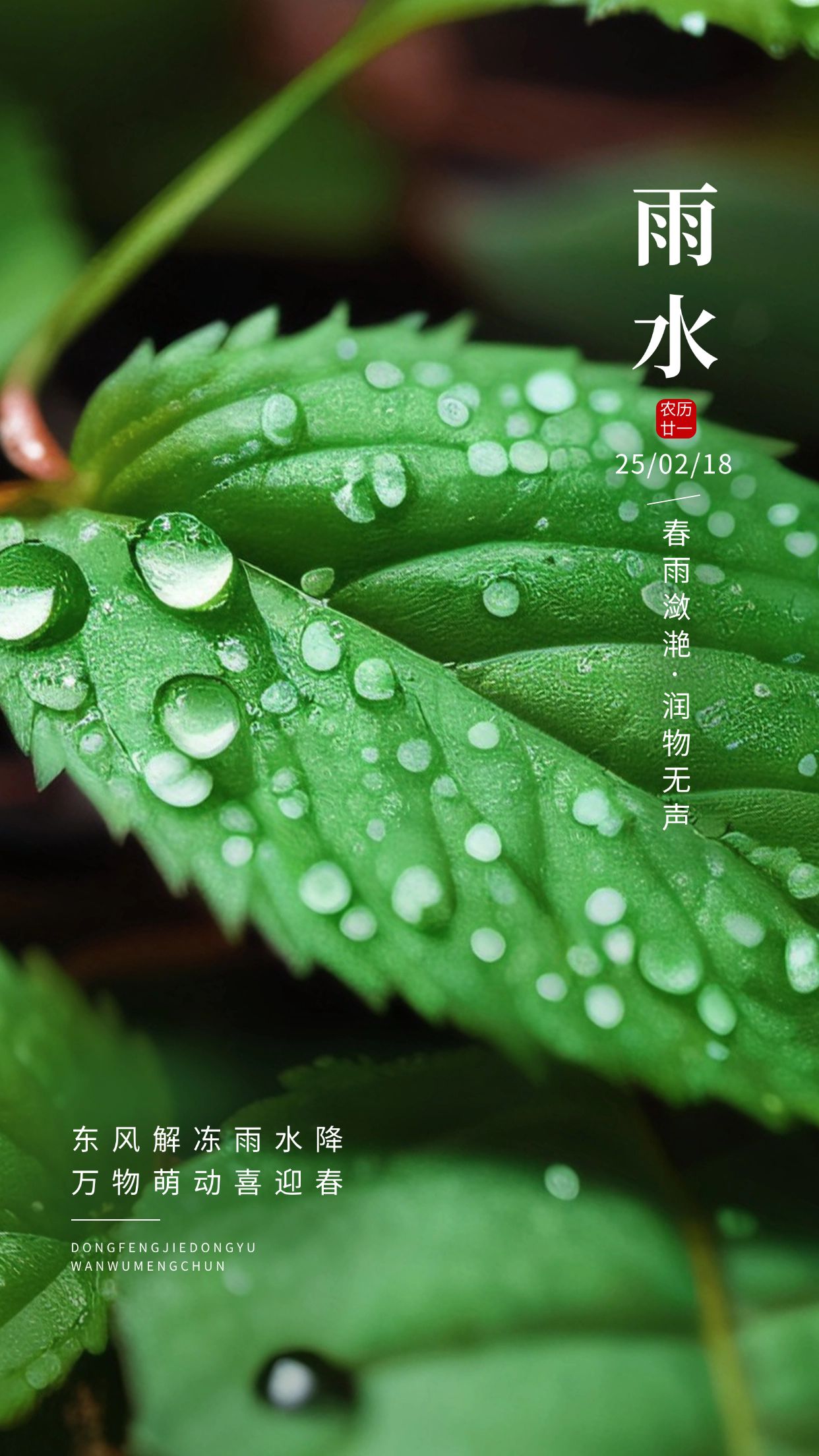 雨水节气祝福实景风手机海报AIGC