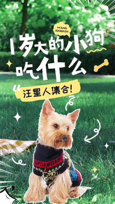 宠物知识科普宣竖版视频封面预览效果