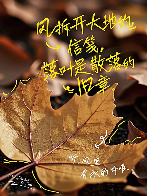 情感语录短句松弛感秋天氛围实景图文小红书封面