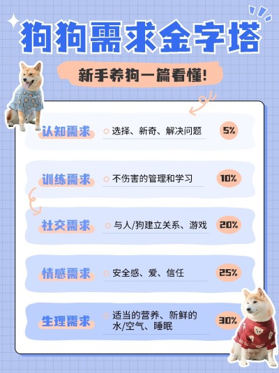 宠物知识科普小红书配图
