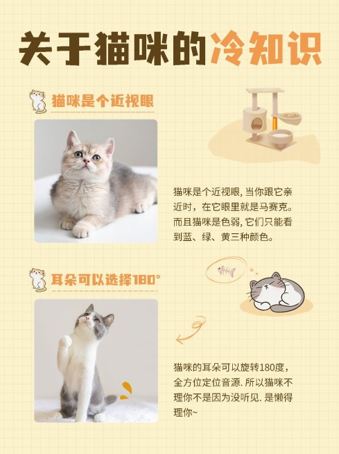 宠物冷知识科普小红书配图预览效果