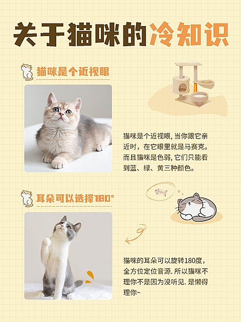 宠物冷知识科普小红书配图