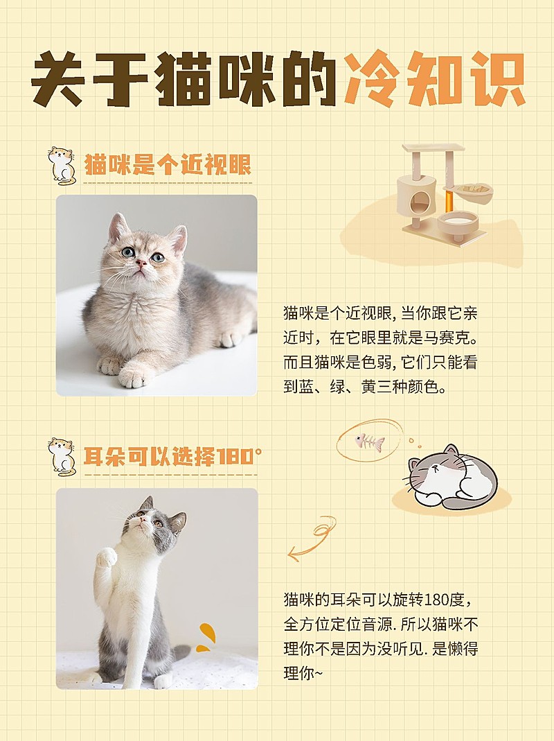 宠物冷知识科普小红书配图