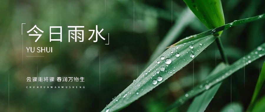 企业雨水节气祝福实景感公众号首图预览效果