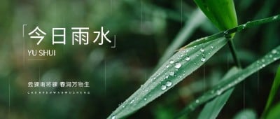 企业雨水节气祝福实景感公众号首图